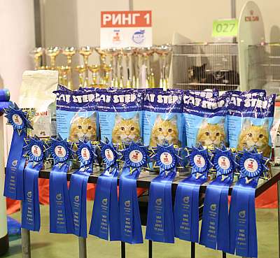 �������� ����� '���-�����-�������' 18-19 ������� 2014 169A3133 copy.jpg